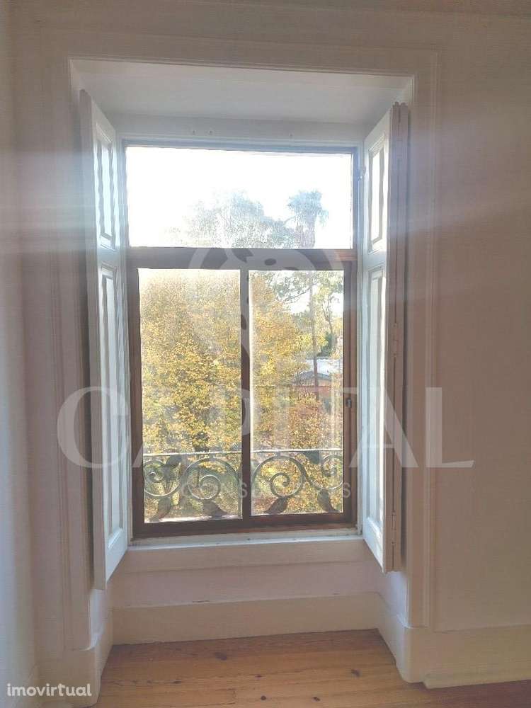 Escritório com 250m2 no Campo Grande - Grande imagem: 4/20