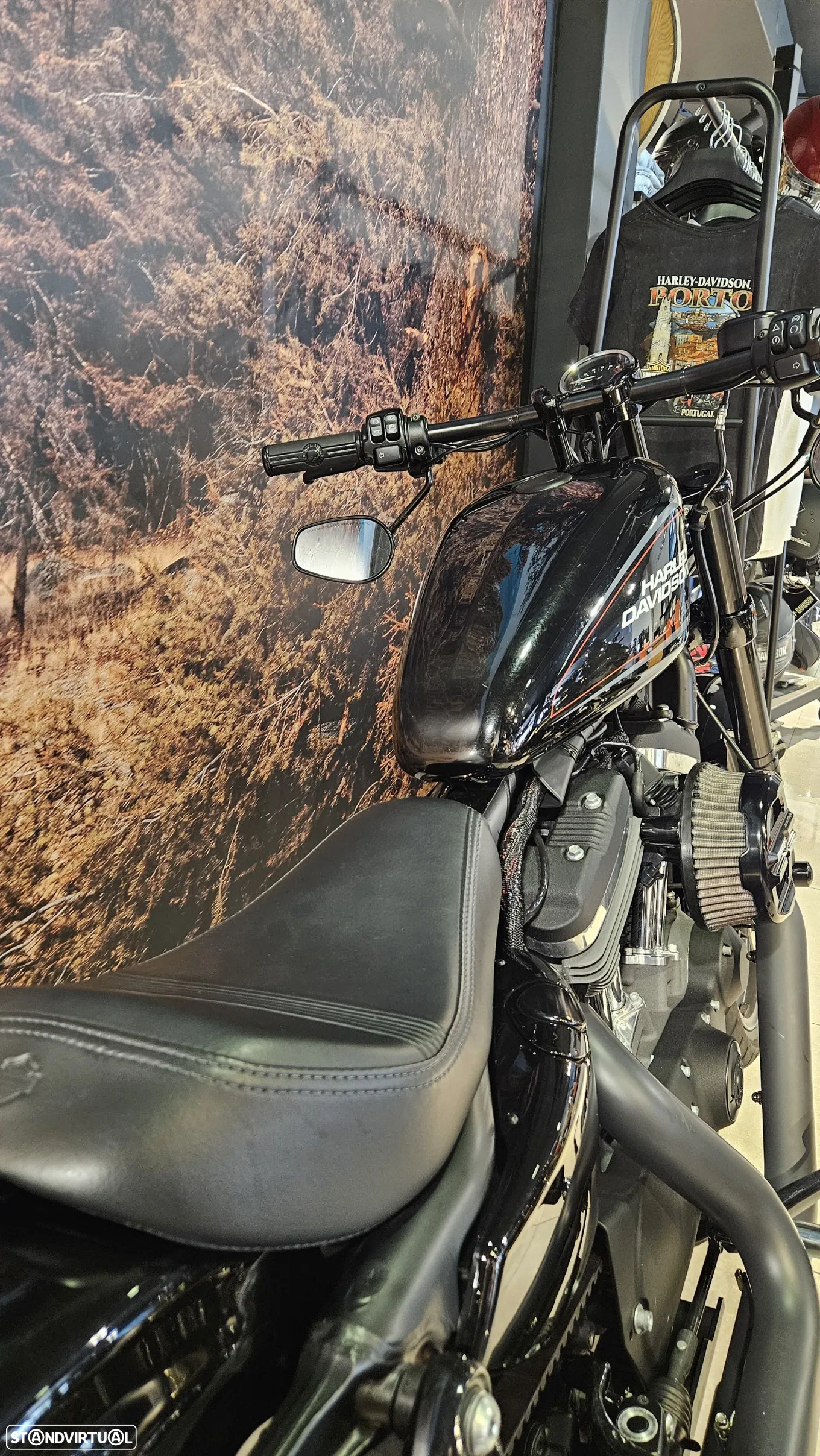 Harley-Davidson Sportster Roadster 1200 - 8