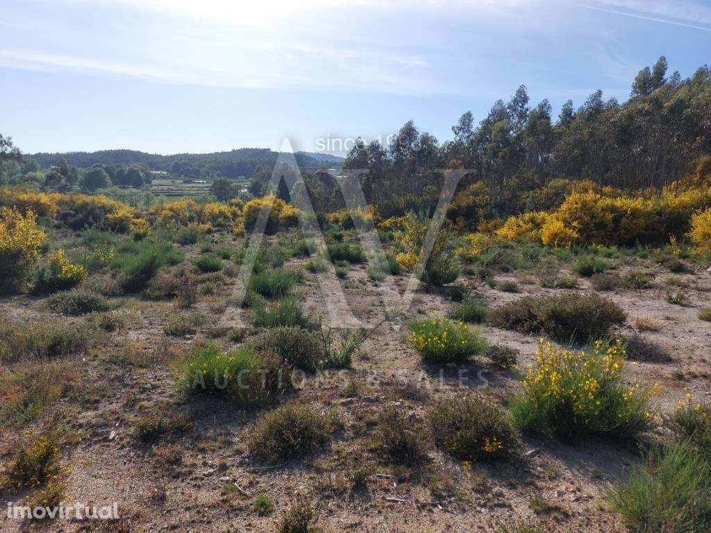 Terreno para construção - CAMPIA - VOUZELA | LEILÃO ELETRÓNICO | FI... - Grande imagem: 5/6