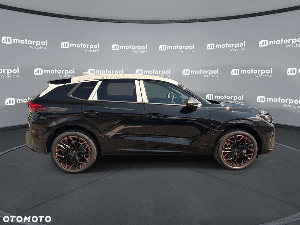 Cupra Terramar - 11