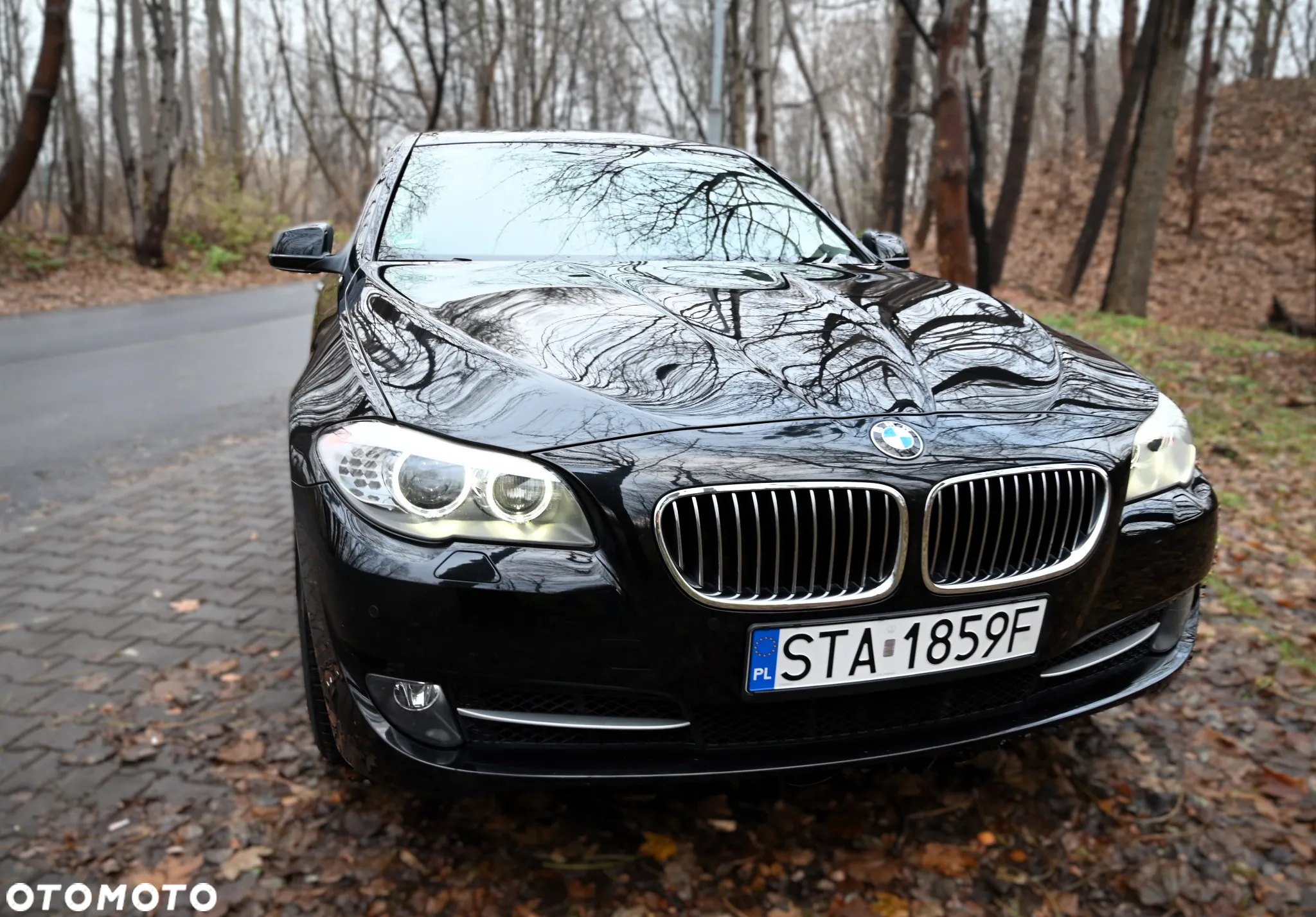 BMW Seria 5 - 4