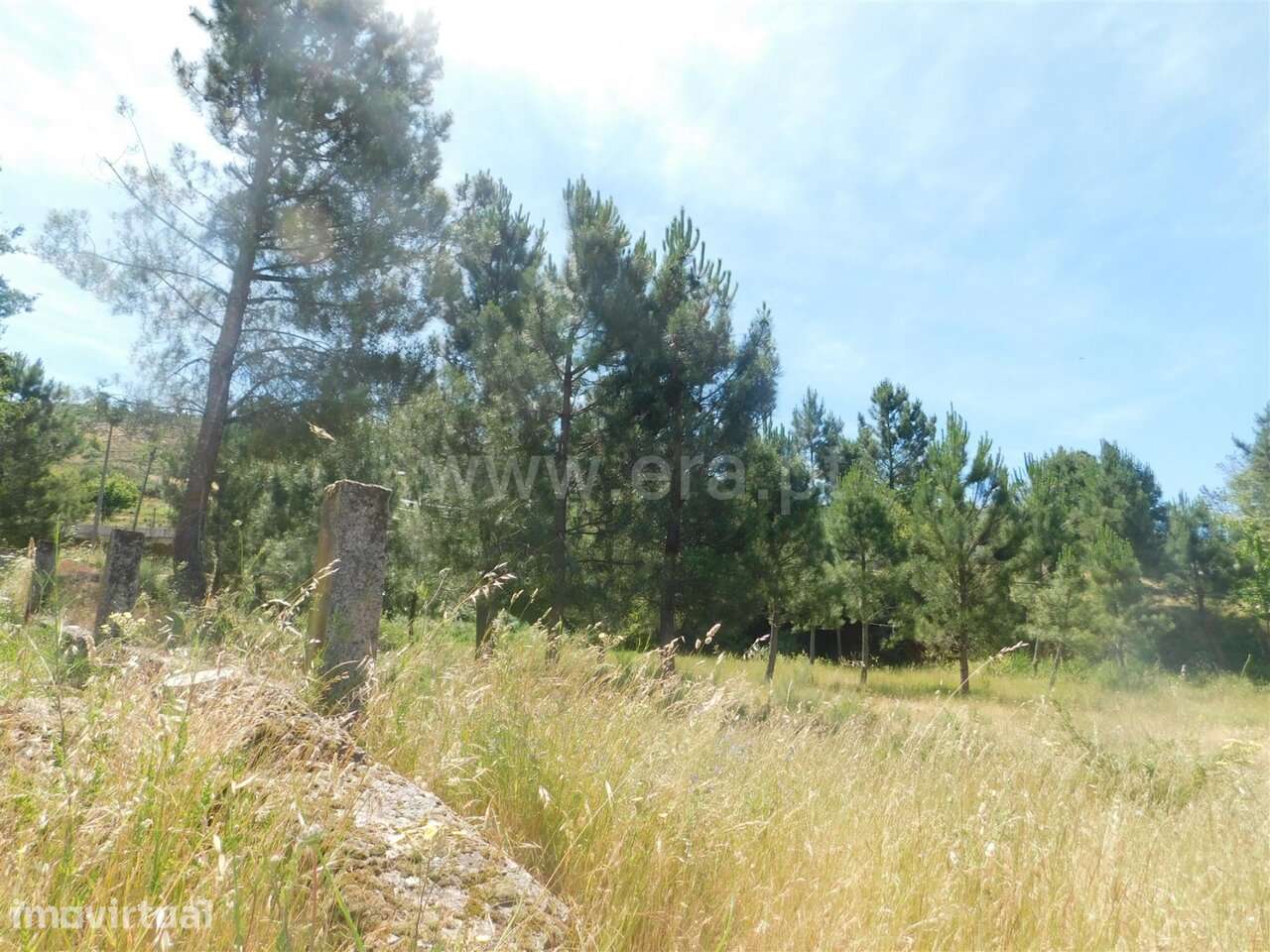 Terreno / Seia, Seia - Grande imagem: 4/10