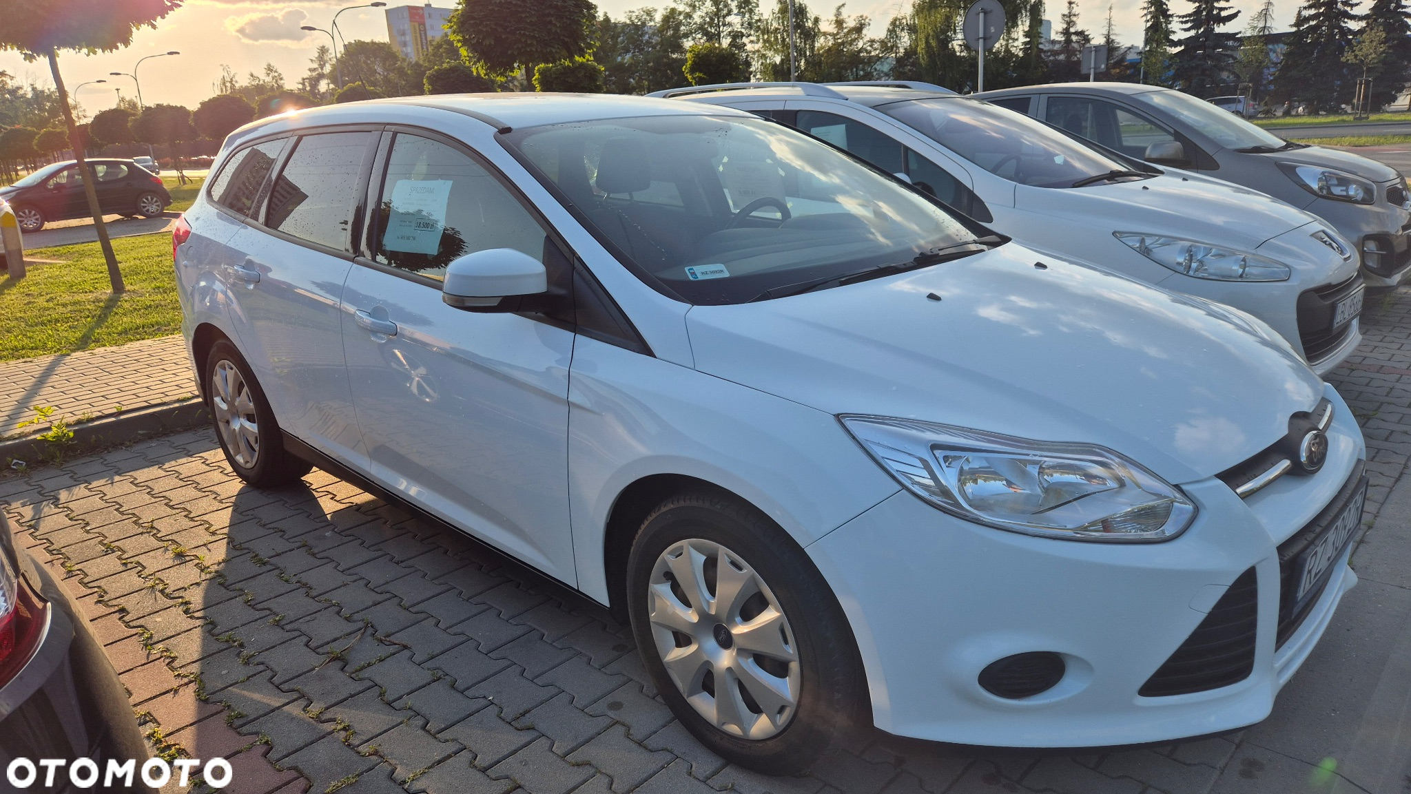 Ford Focus 1.6 Trend - 2