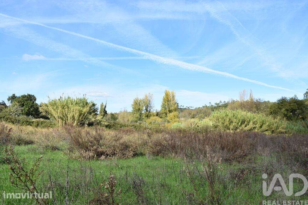 Terreno Agrícola em Freixianda, Ribeira do Fárrio e Formigais - Grande imagem: 2/40
