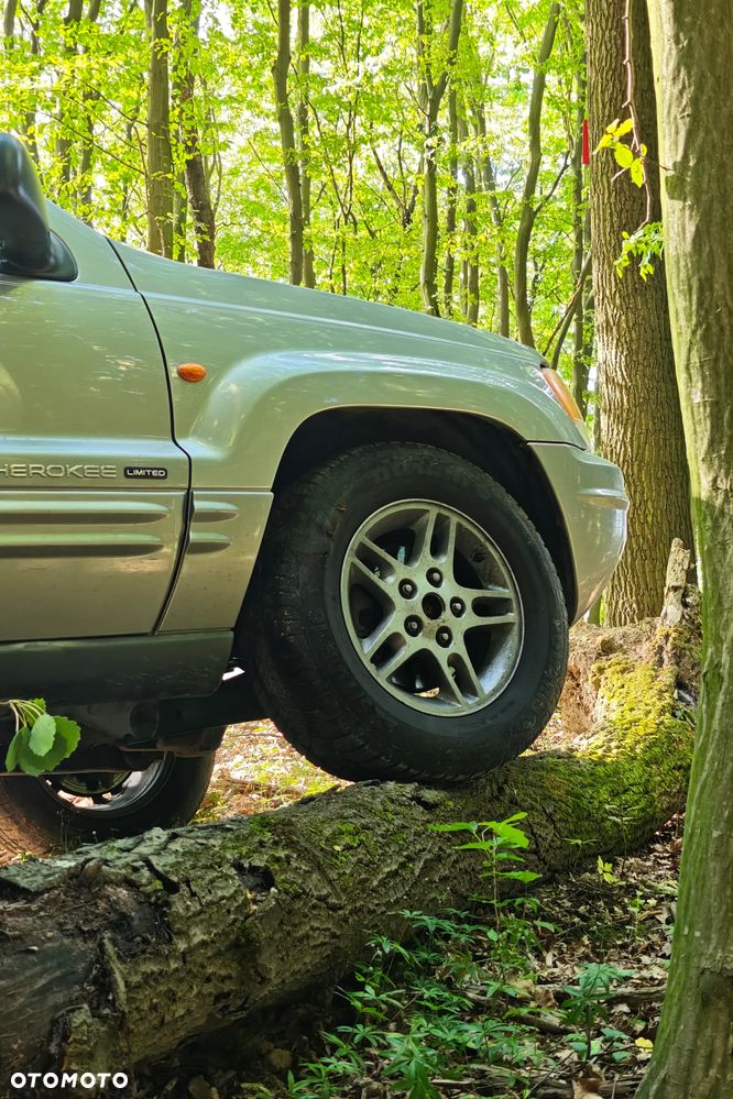 Jeep Grand Cherokee - 9
