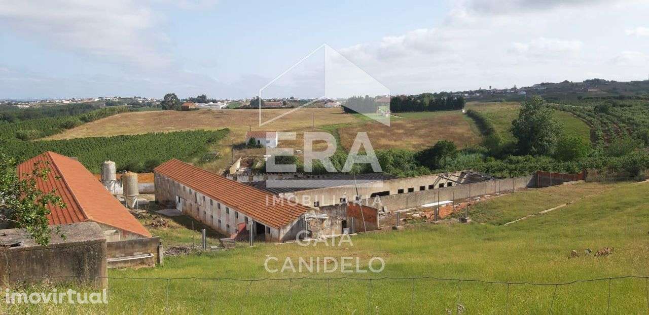 Terreno com 18 000m2 com um parte urbanizável. - Grande imagem: 2/6