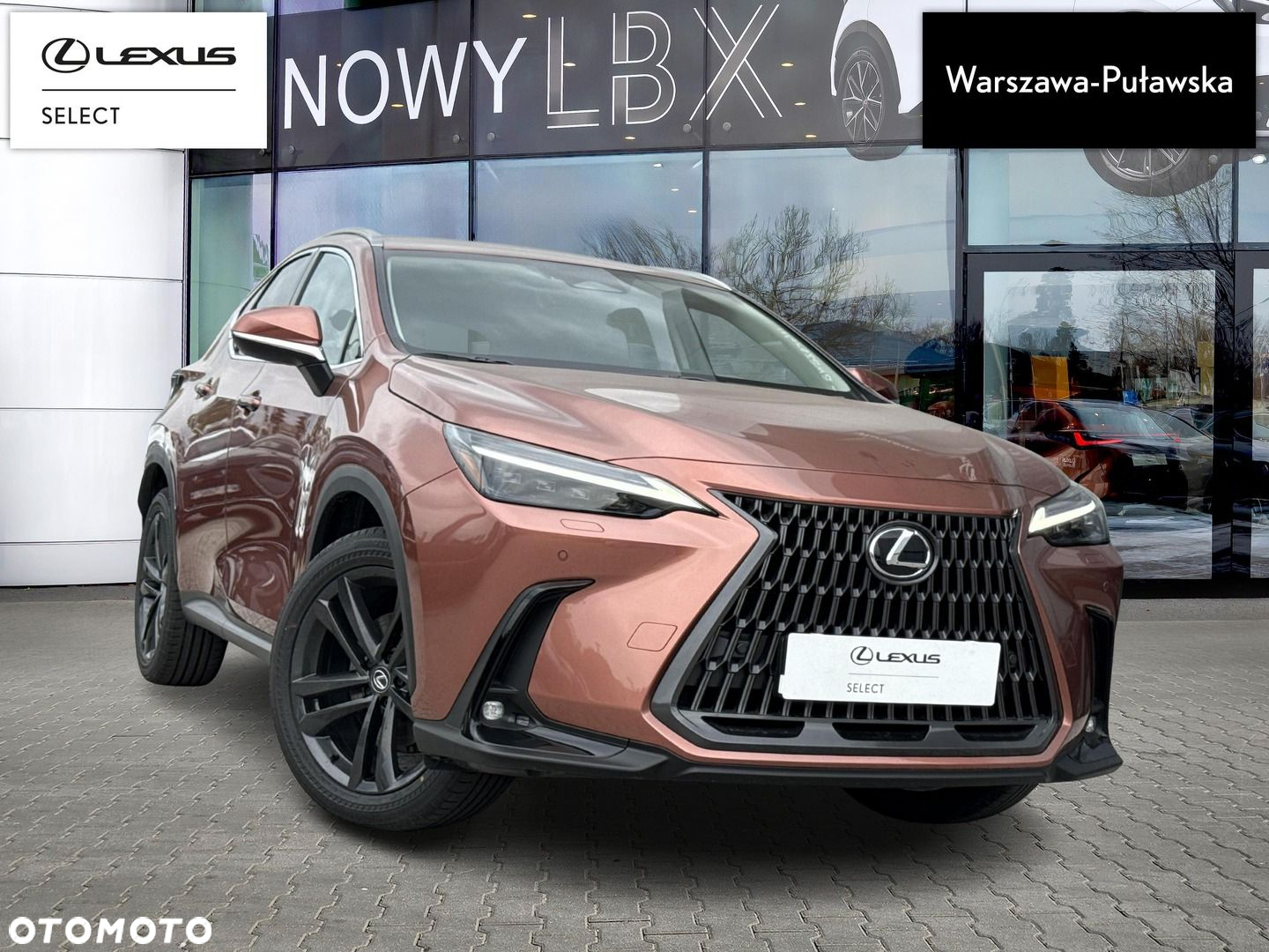 Lexus NX - 4