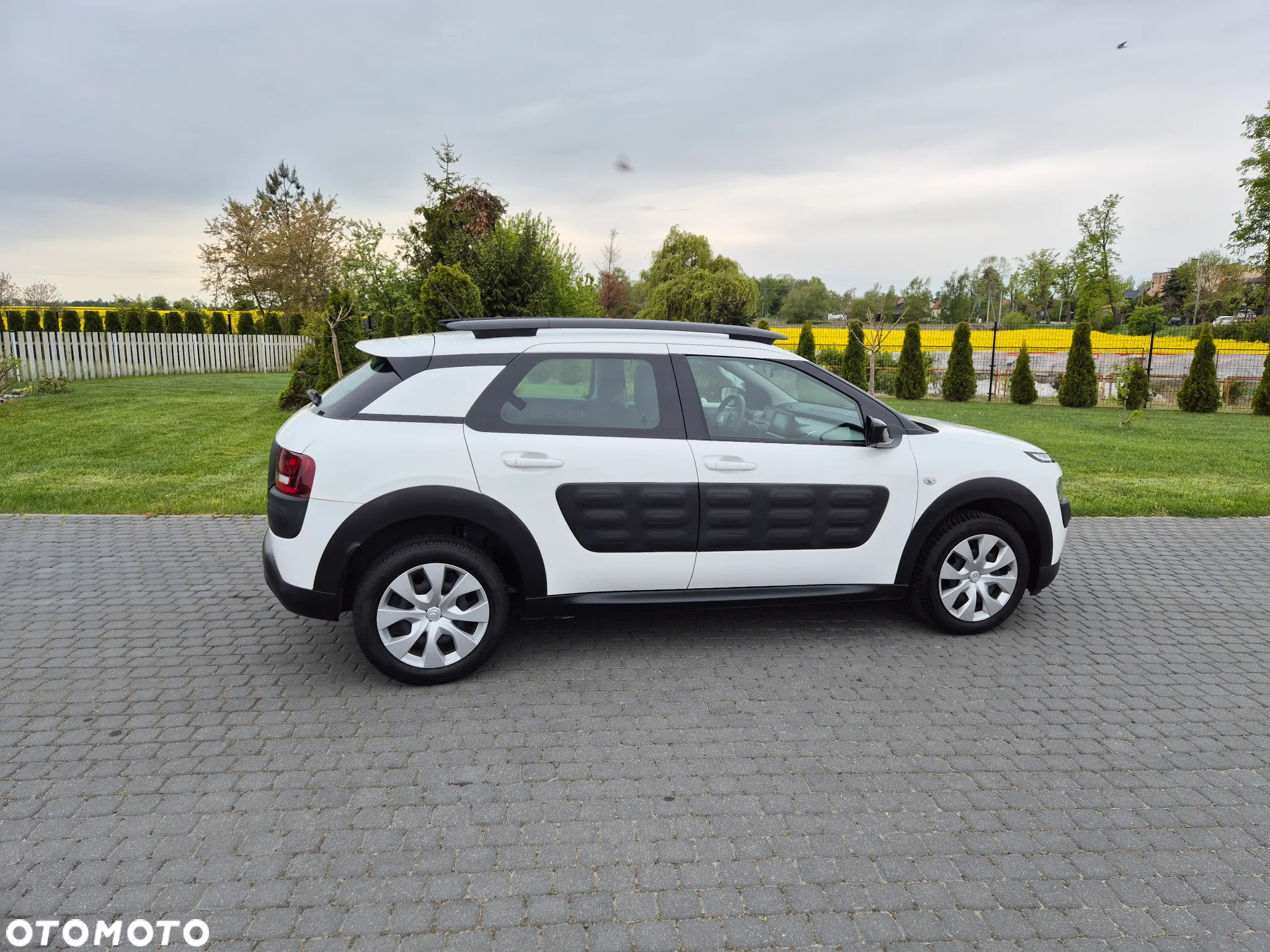 Citroën C4 Cactus 1.2 PureTech Feel Edition - 26