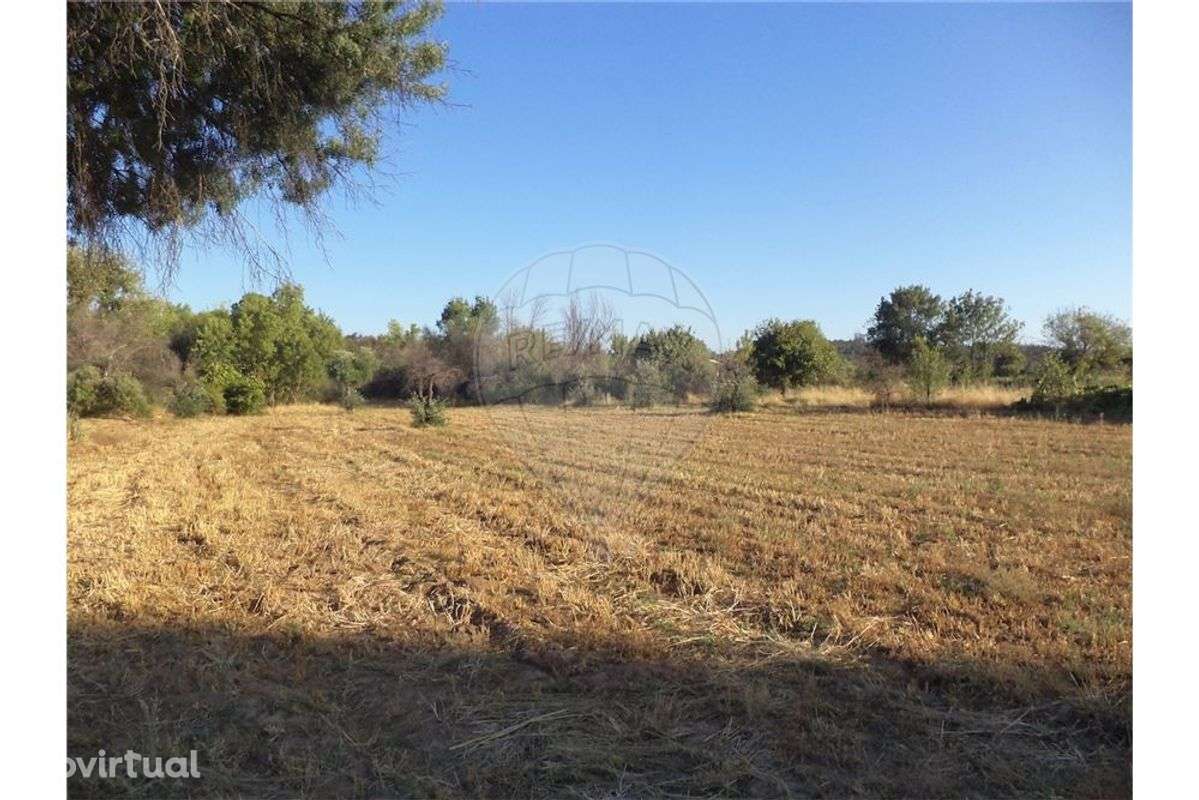 Quinta T0 para venda - Grande imagem: 5/12