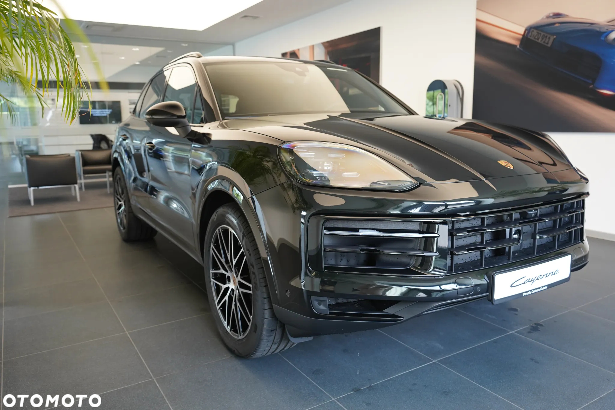 Porsche Cayenne Standard - 7