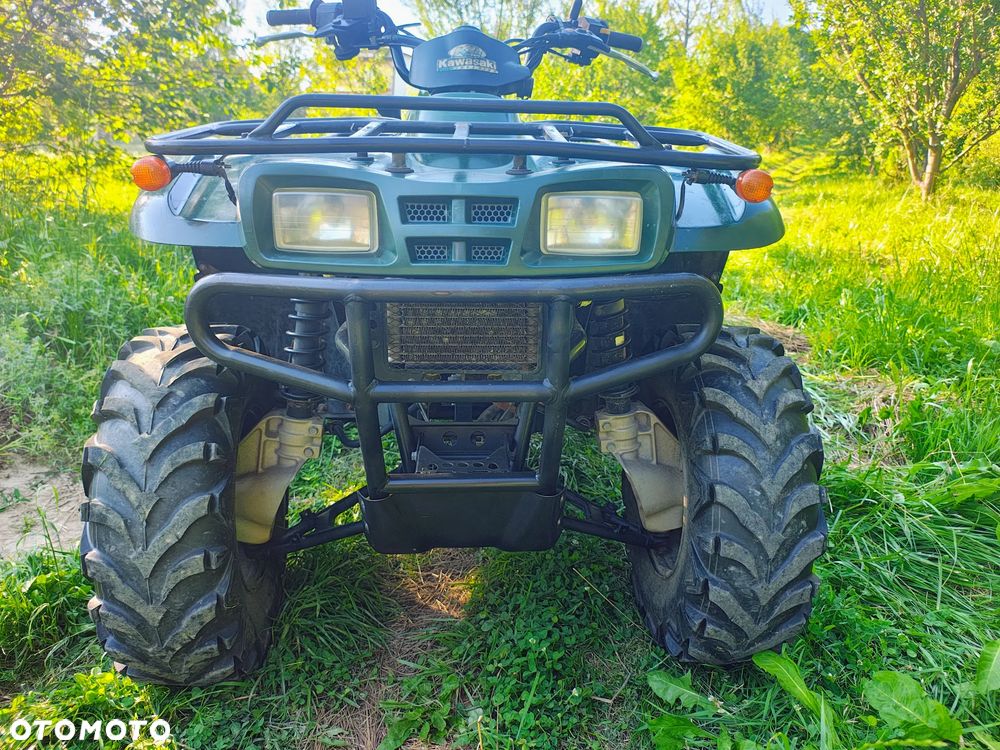 Kawasaki Brute Force - 11