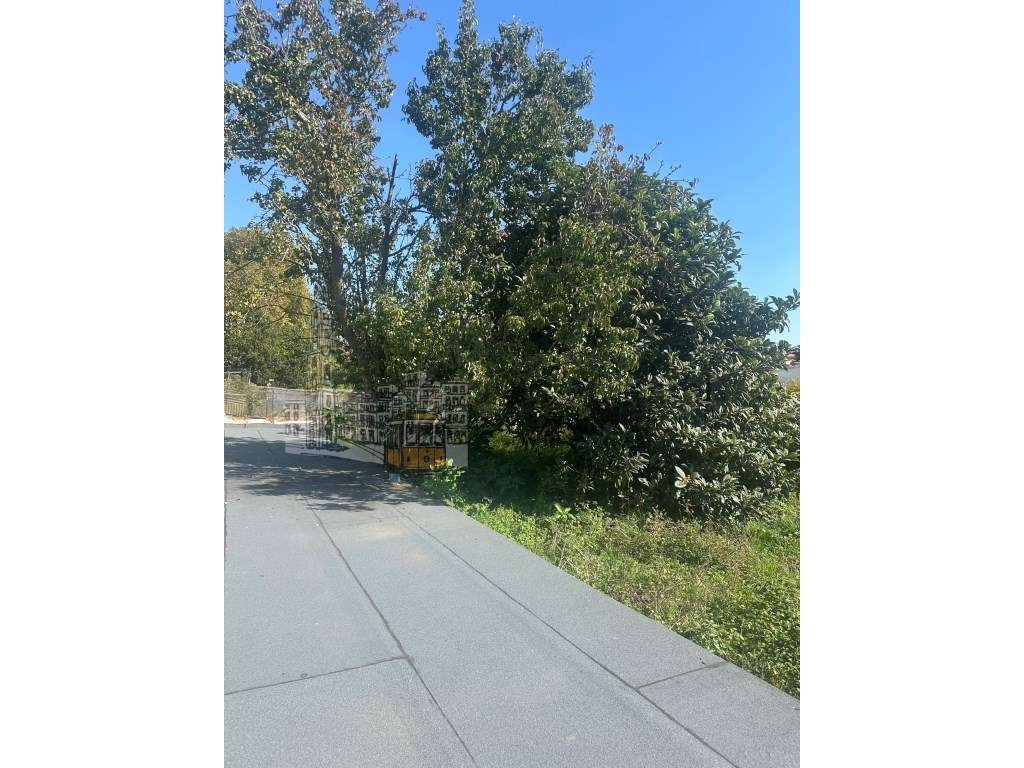 Oportunidade de Investimento ,
Espaço Comercial com Licença de Res... - Grande imagem: 5/23