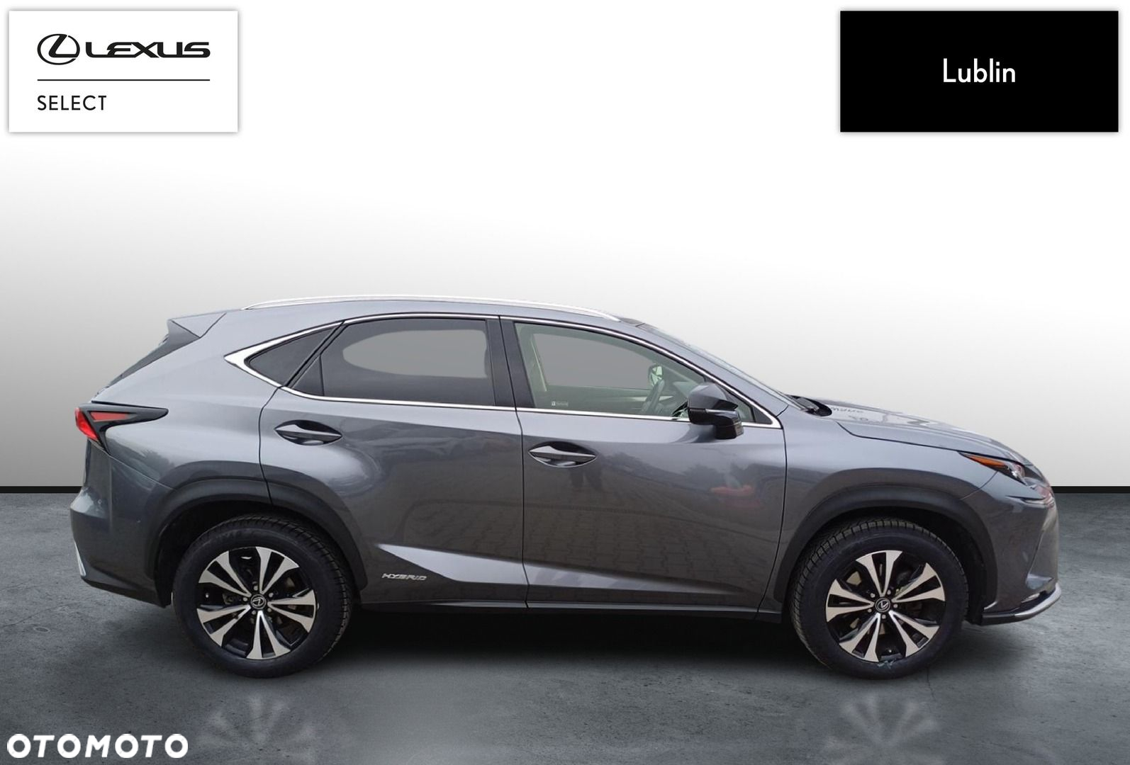 Lexus NX - 6