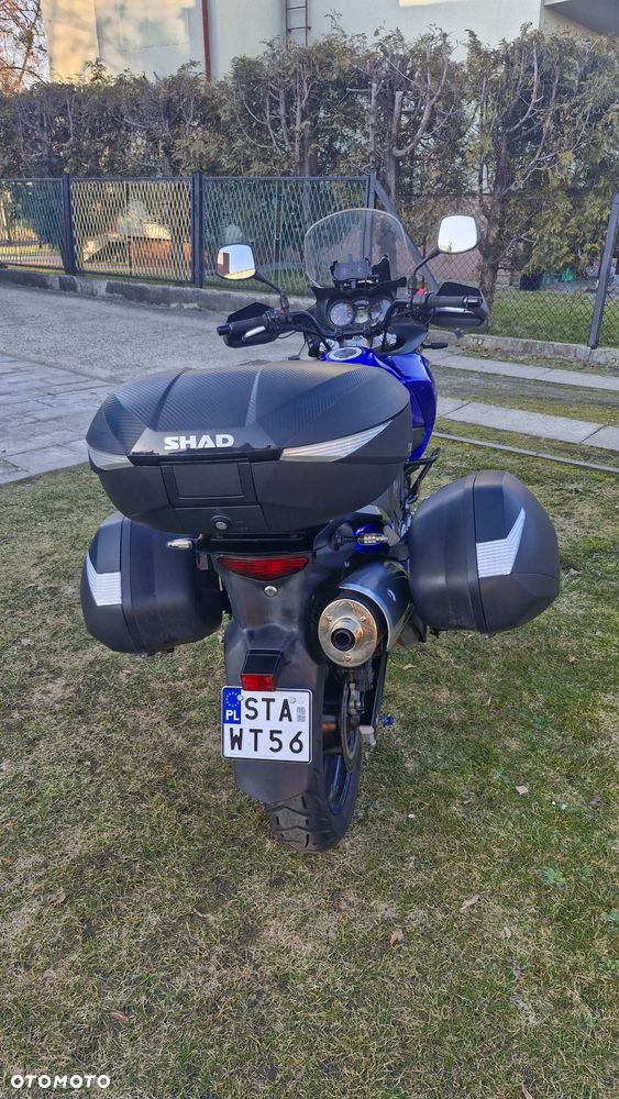 Suzuki DL - 8