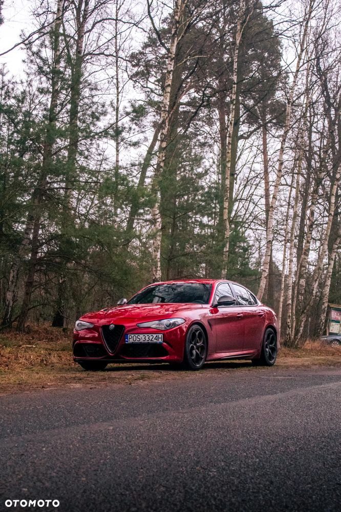 Alfa Romeo Giulia 2.9 V6 Bi-Turbo AT8 Quadrifoglio - 8