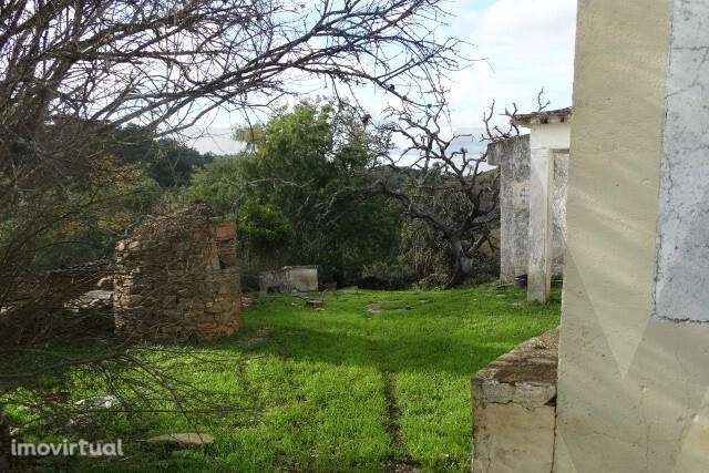 MONTE DO PORTEL PARA RECUPERAR - SANTANA DA SERRA (Ourique) - Grande imagem: 4/22