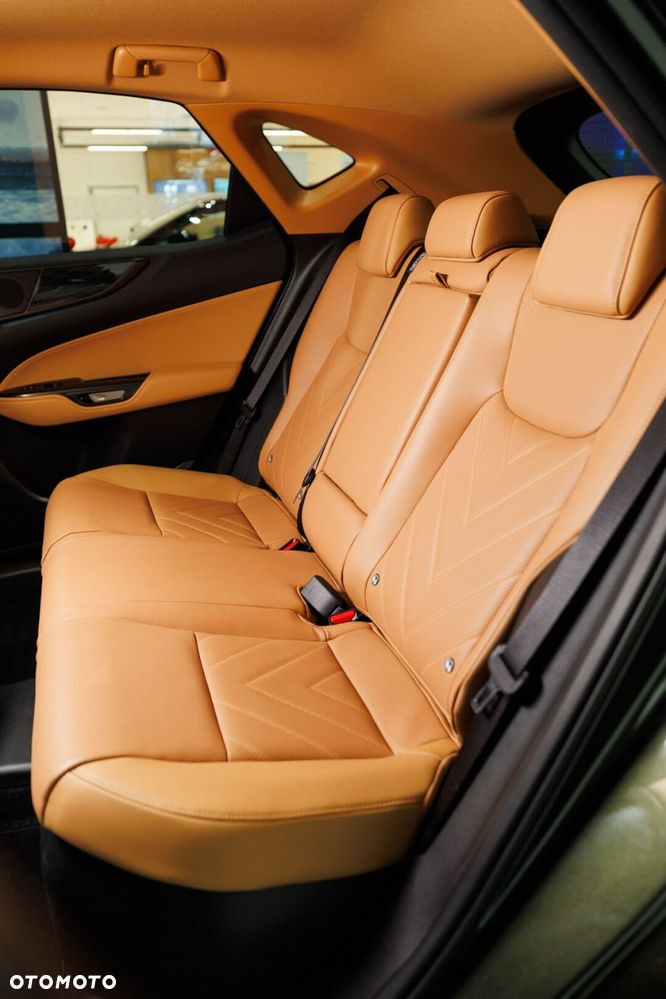 Lexus NX - 23