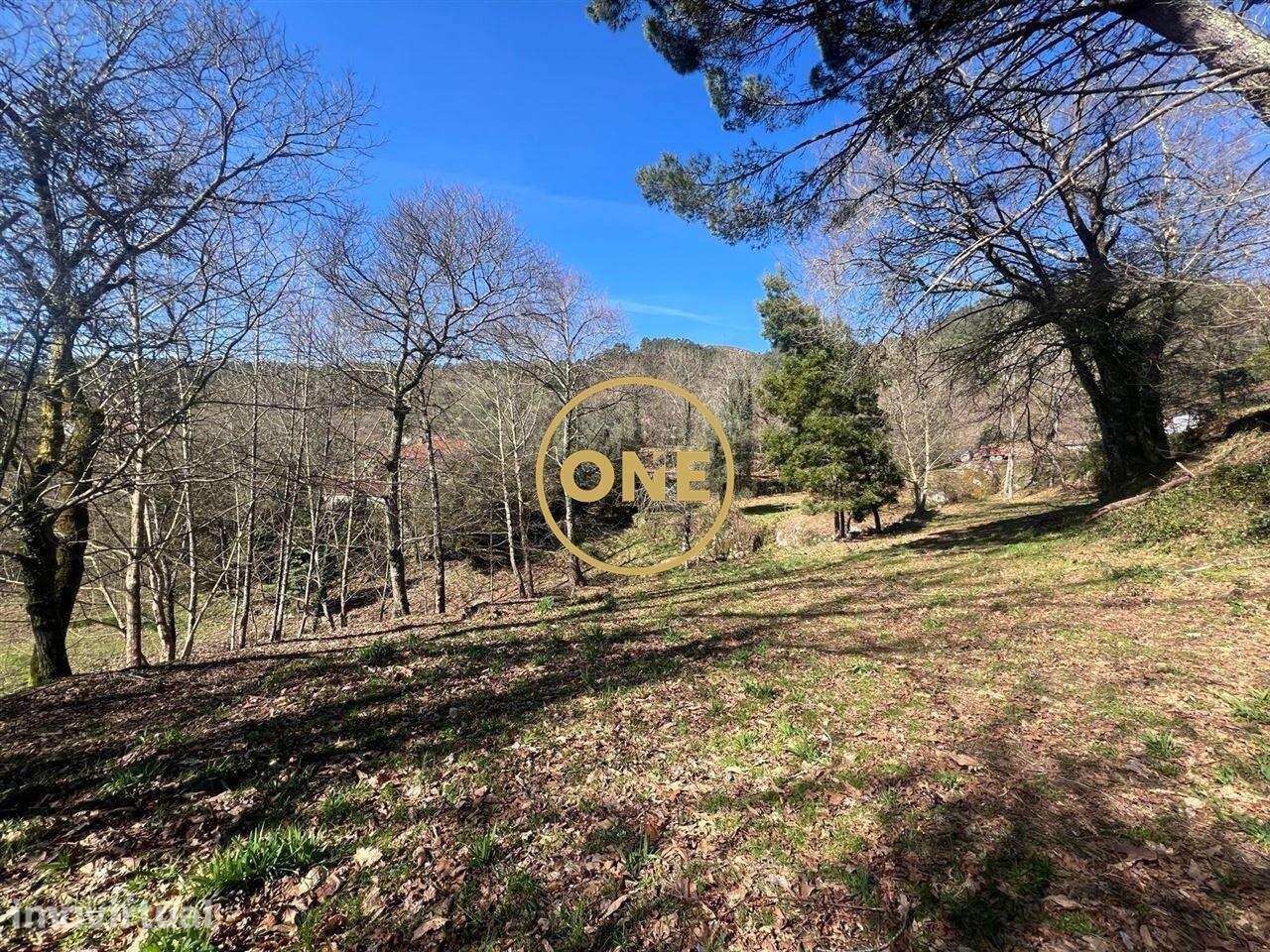 Quinta em Eira Vedra, a 2 minutos de Vieira do Minho, inserida num ter - Grande imagem: 5/40