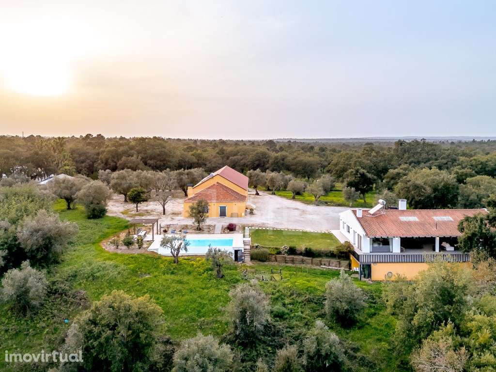 Quinta T9 em Azeitão com piscina e 11 ha de terreno, renovada - Grande imagem: 3/60