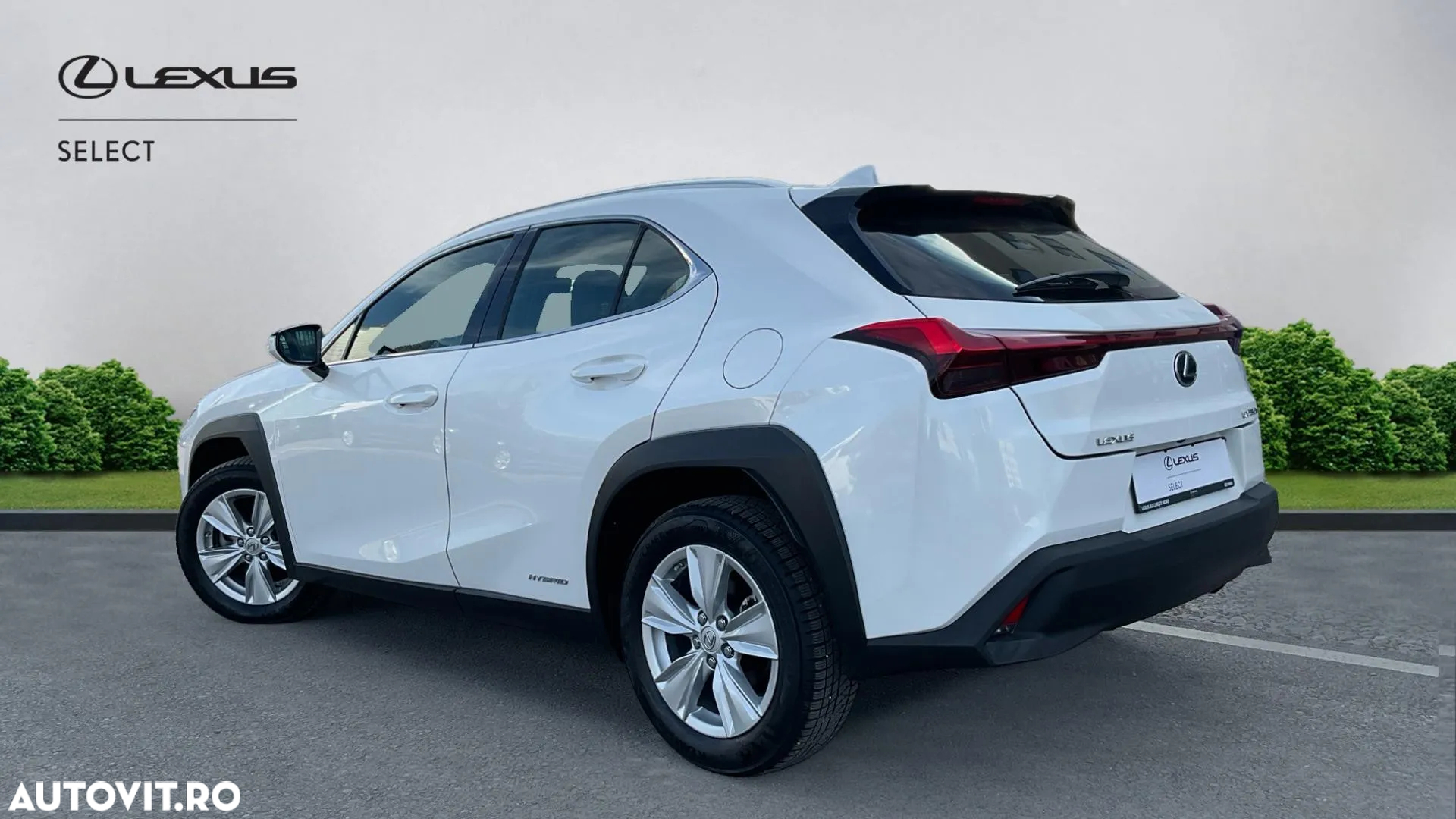Lexus UX 250h Business Edition - 2