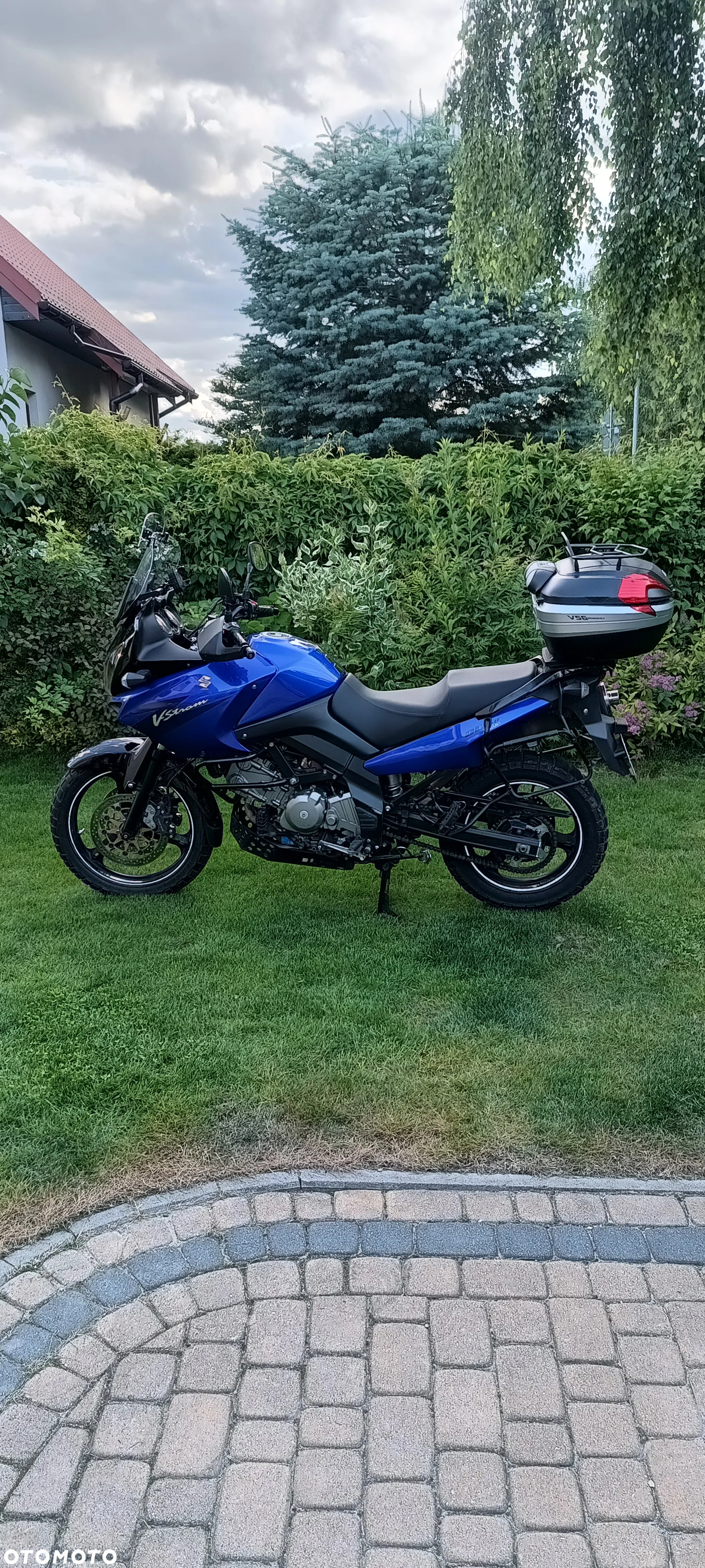 Suzuki DL - 7