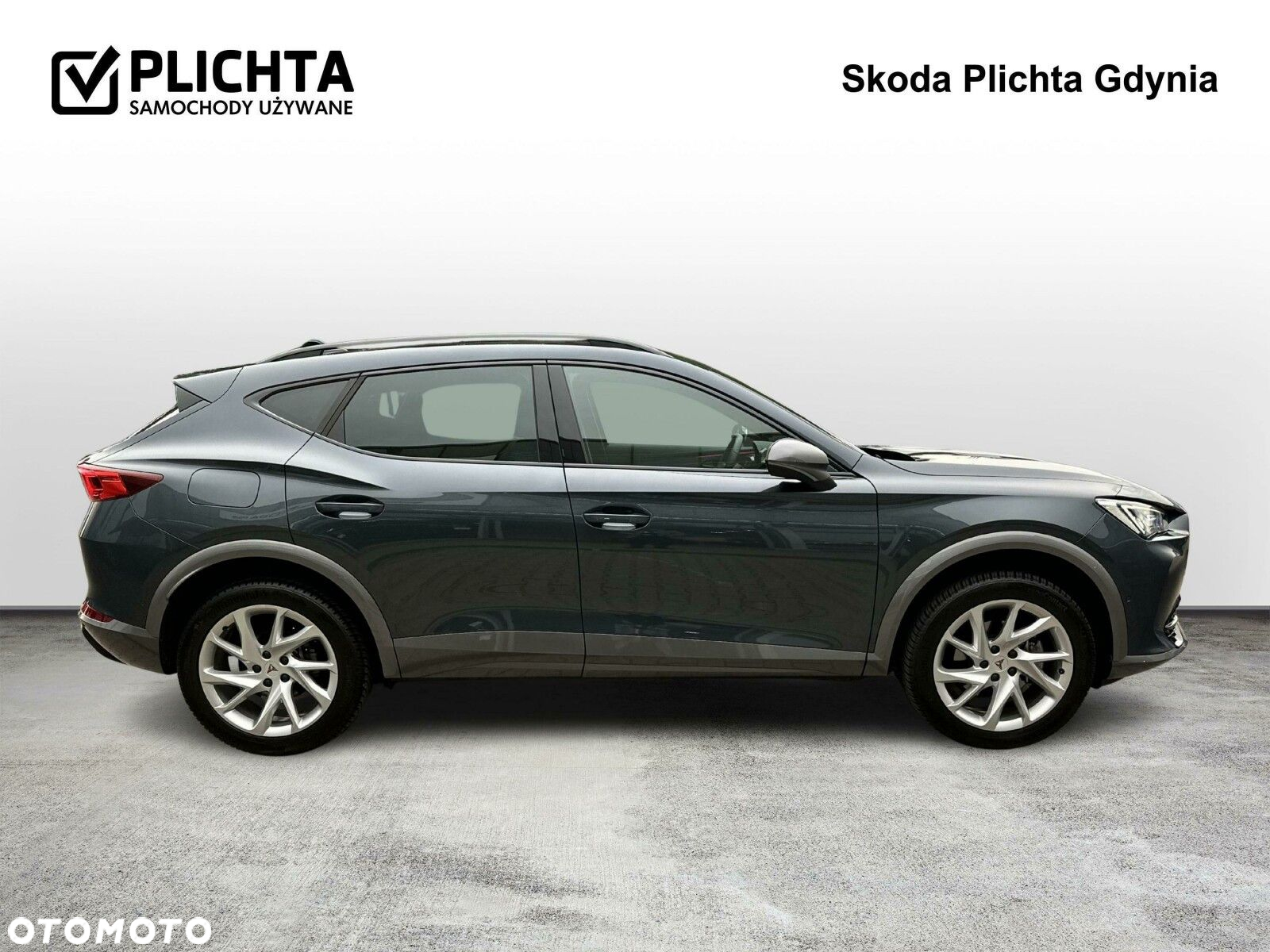 Cupra Formentor 2.0 TSI 4Drive DSG - 6