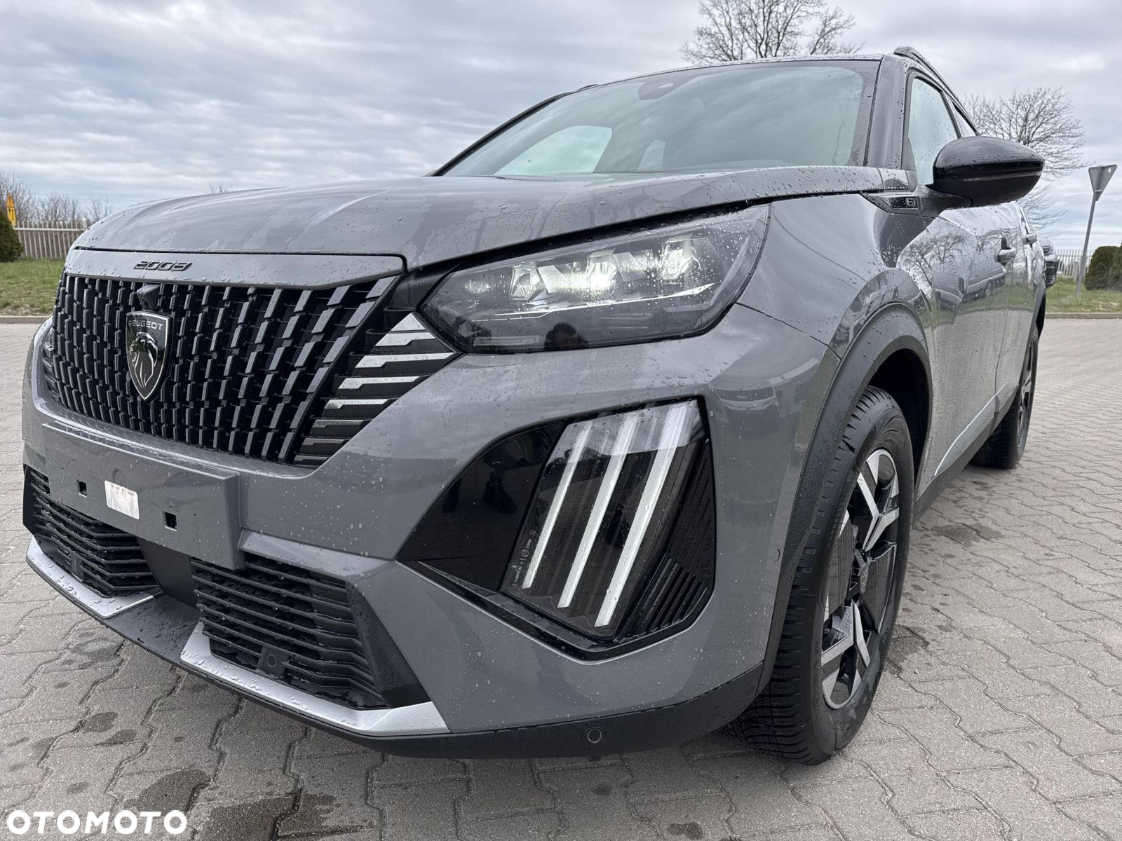 Peugeot 2008 - 10