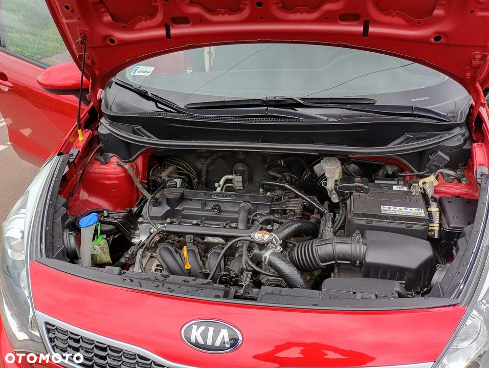 Kia Rio - 23