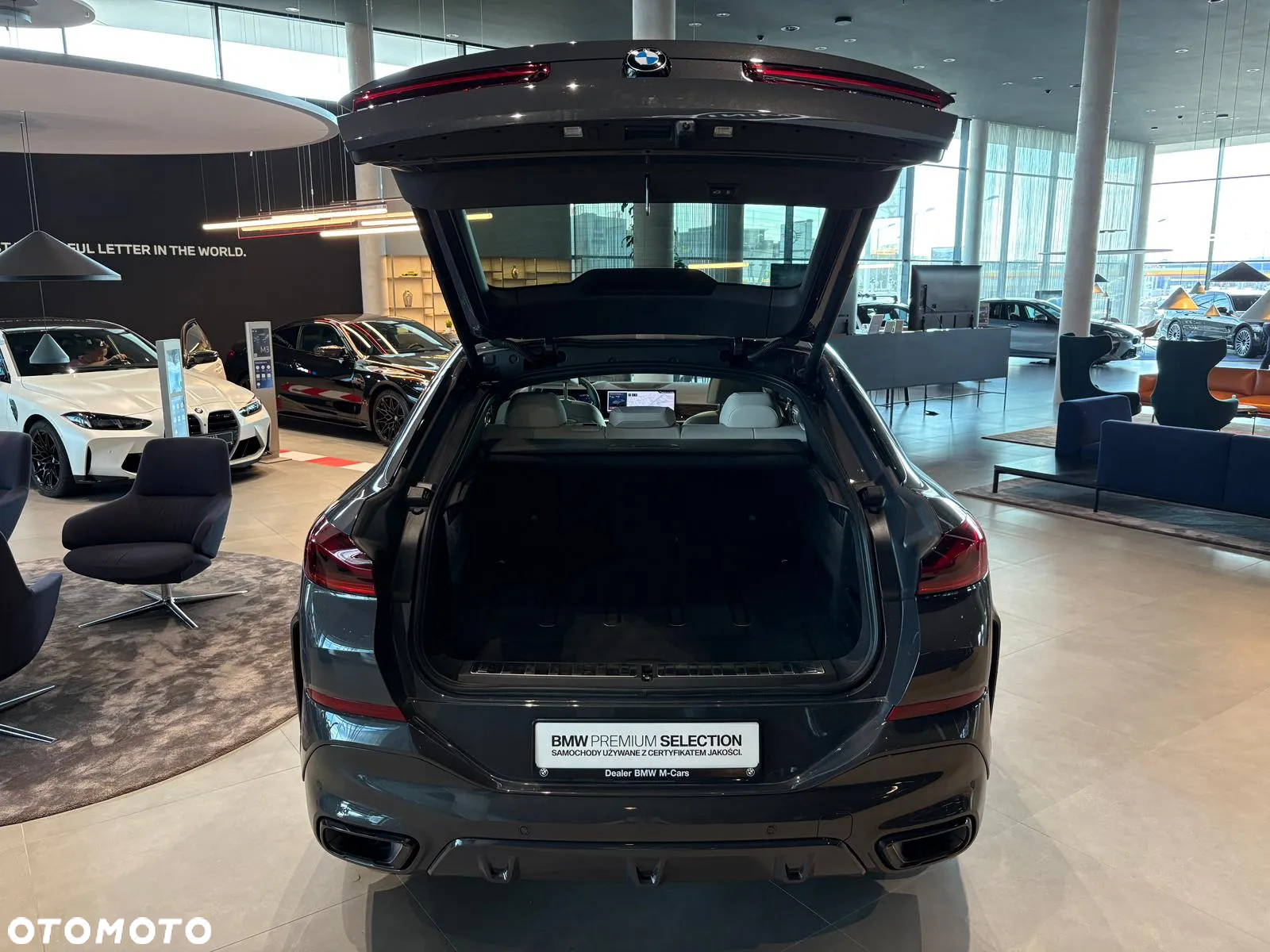 BMW X6 xDrive30d - 31