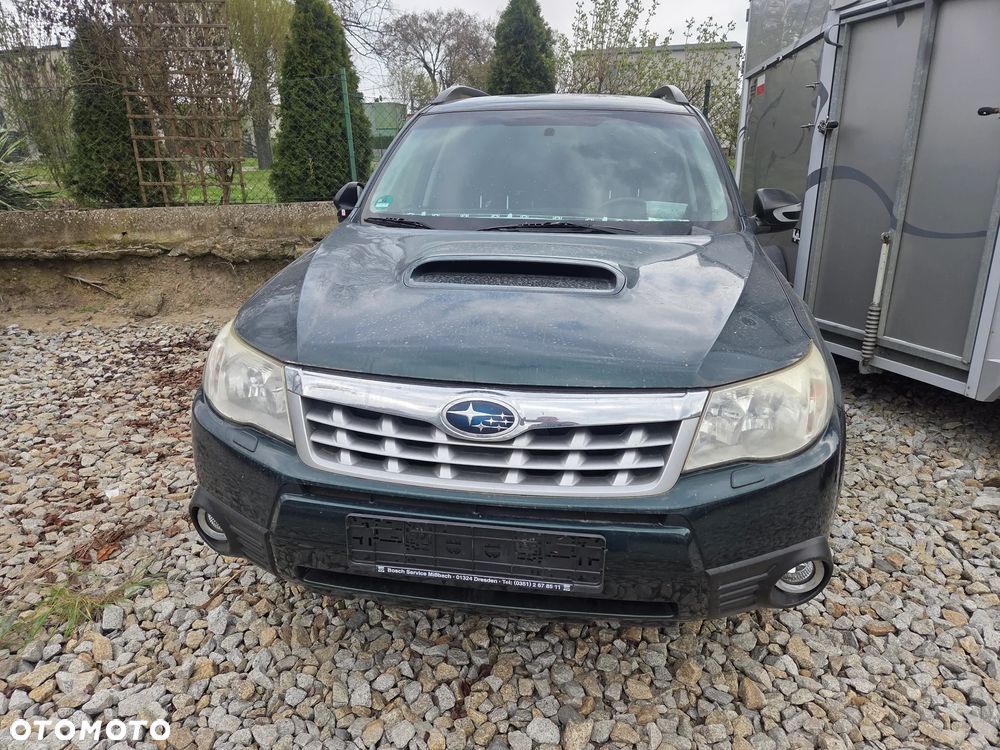 Subaru Forester 2.0D Exclusive - 2