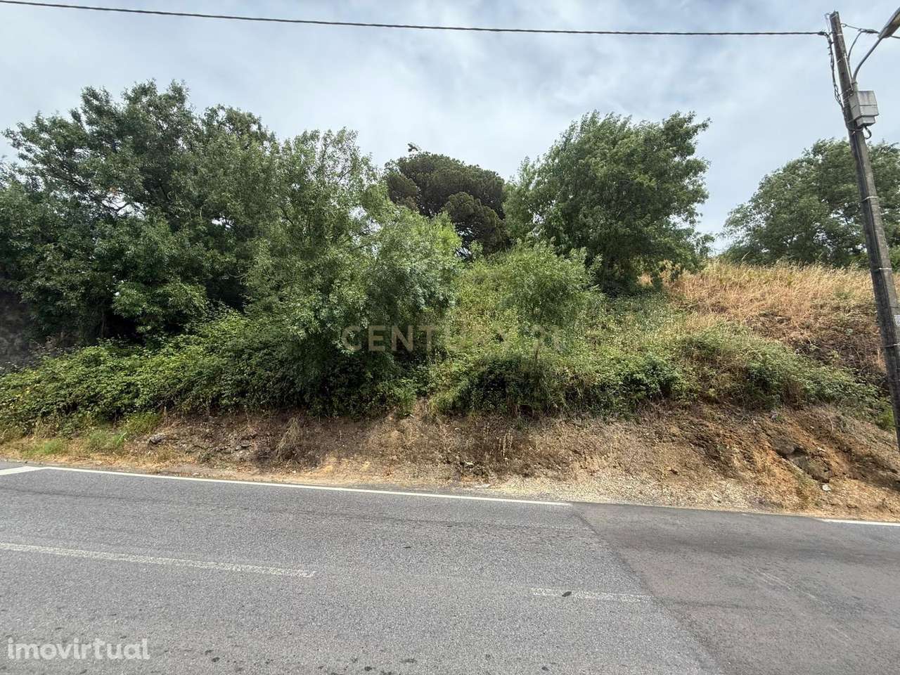 Terreno Rústico em Sintra: Localização Privilegiada e Tranquila- Almar - Grande imagem: 2/9