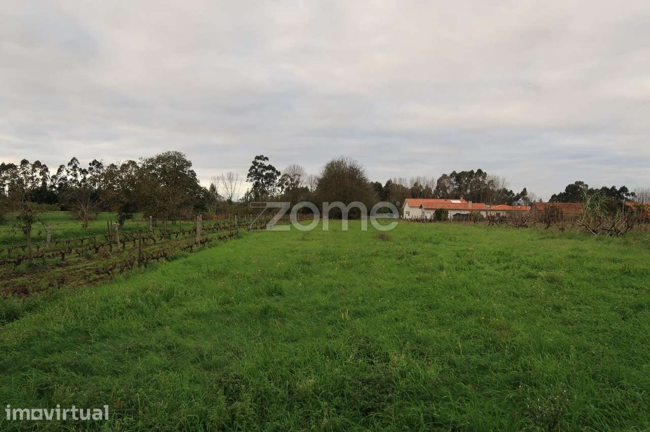 Terreno para construção com 1300m2 - Grande imagem: 2/15