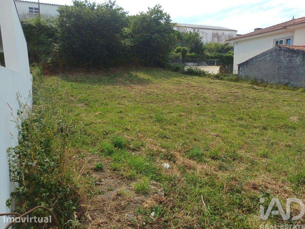 Terreno em Anha - Grande imagem: 3/6