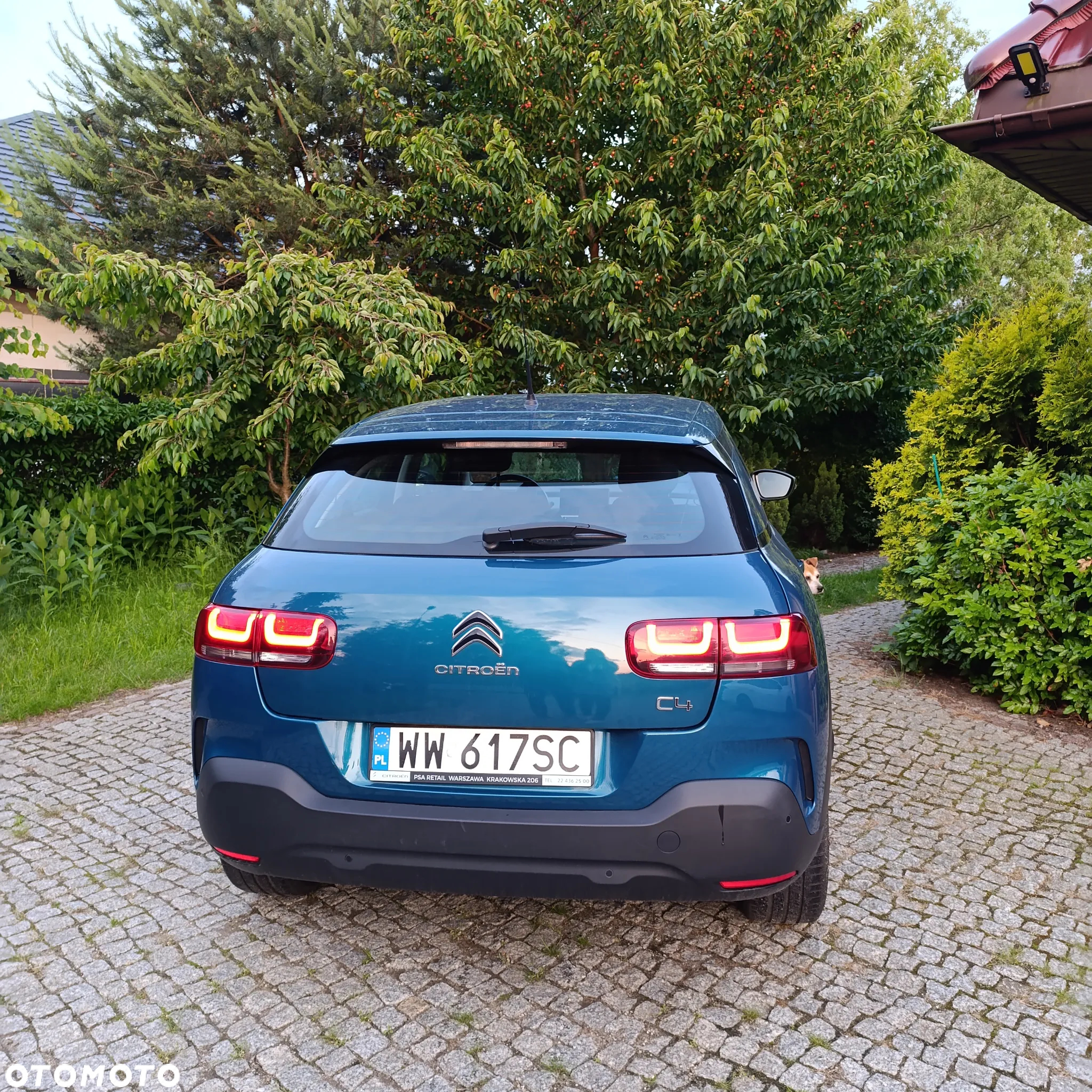 Citroën C4 Cactus 1.2 PureTech Feel S&S - 10