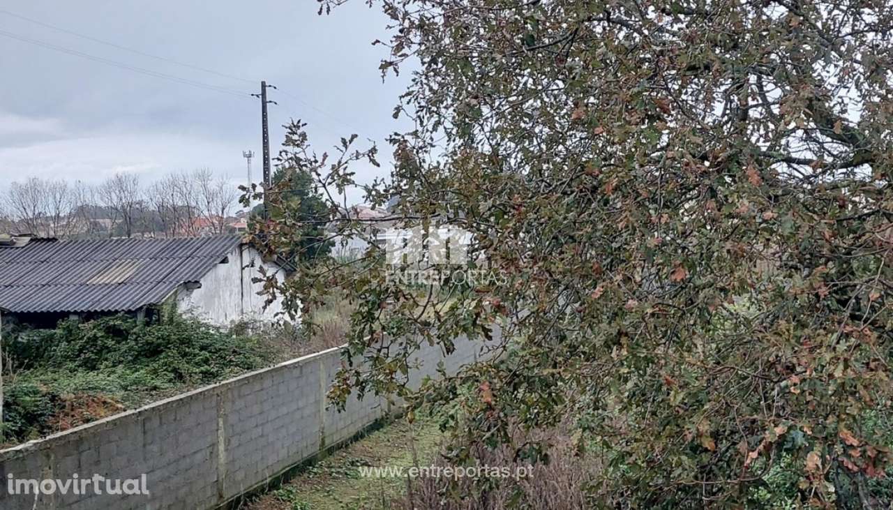 Venda de Terreno Agrícola (30.000 m²) com Armazém, Árvore, Vila do - Grande imagem: 3/12