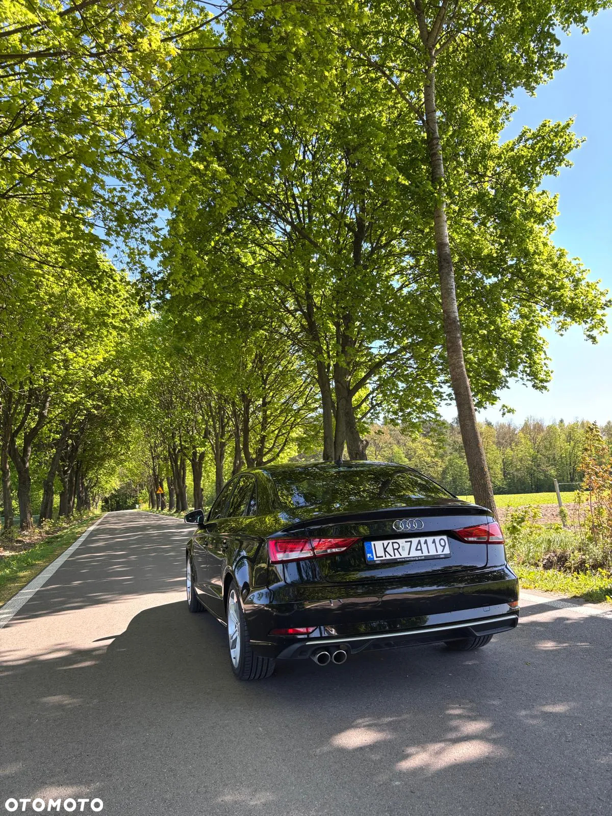 Audi A3 - 8