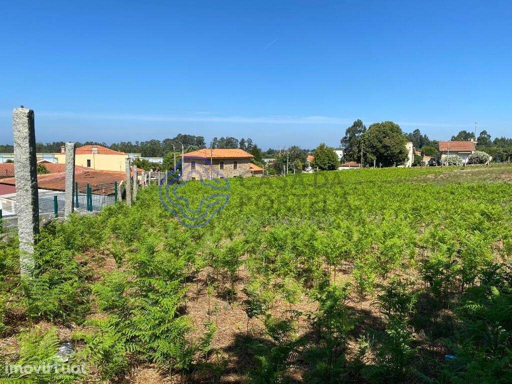 Terreno Urbano para construção em Grijó - Grande imagem: 2/8