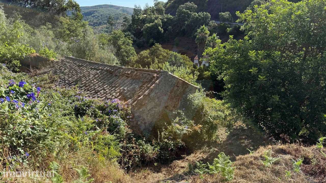 Oportunidade Única na Serra de Monchique! - Grande imagem: 3/15