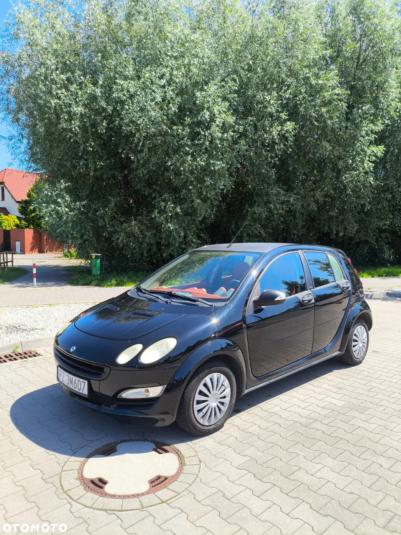 Smart Forfour passion - 2