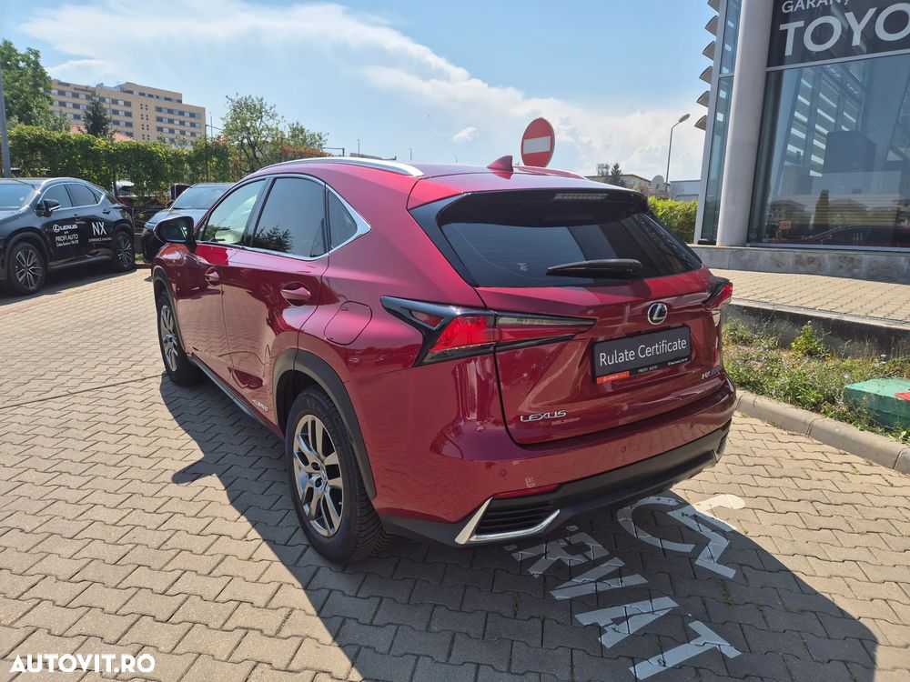 Lexus Seria NX 300h AWD Business Plus - 7