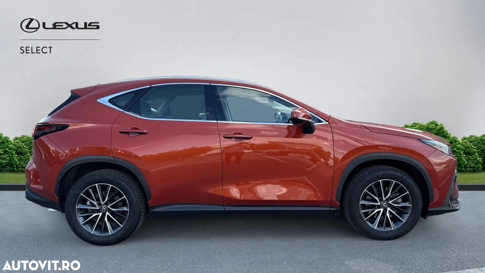 Lexus Seria NX 350h AWD CVT HEV Business - 19