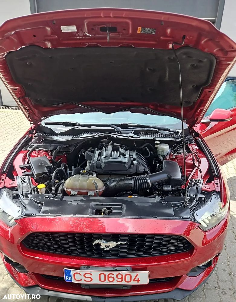 Ford Mustang 2.3 EcoBoost Aut. - 24