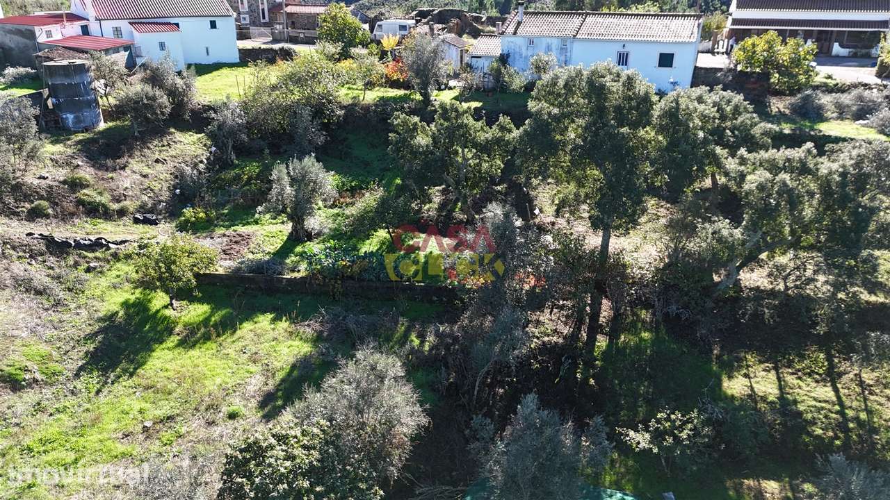 Terreno Misto T3 Venda em Carregueira,Chamusca - Grande imagem: 3/17