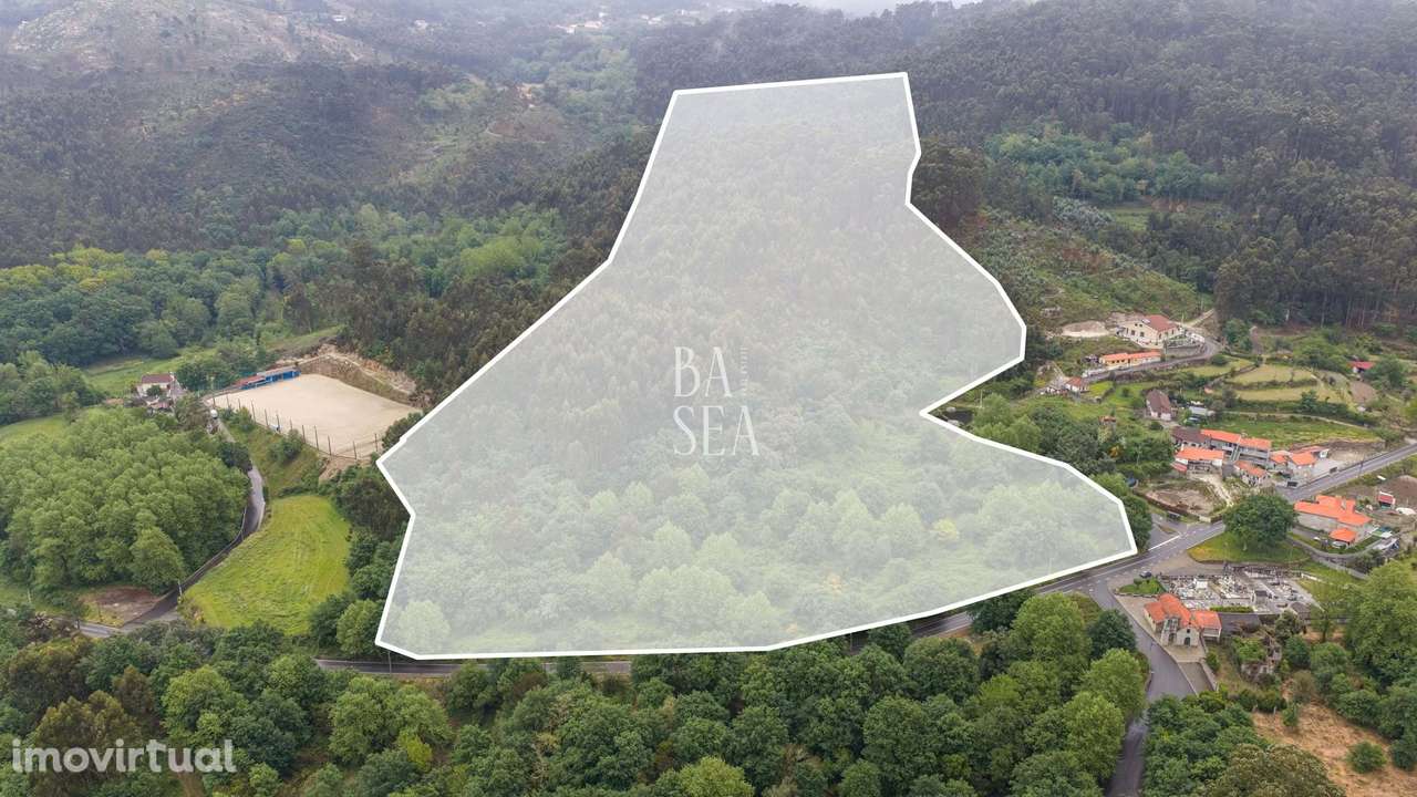Quinta em ruína com 9.6 ha de terreno em São Clemente Fafe - Grande imagem: 4/29