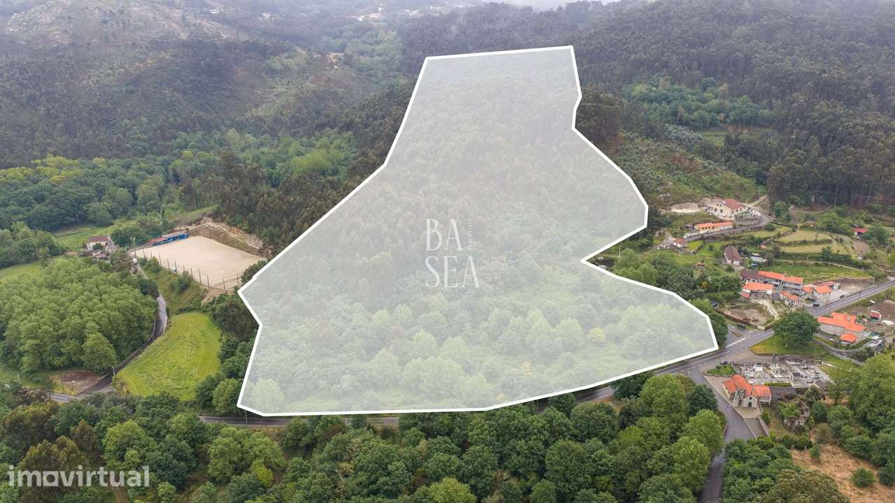 Quinta em ruína com 9.6 ha de terreno em São Clemente Fafe - Grande imagem: 4/29