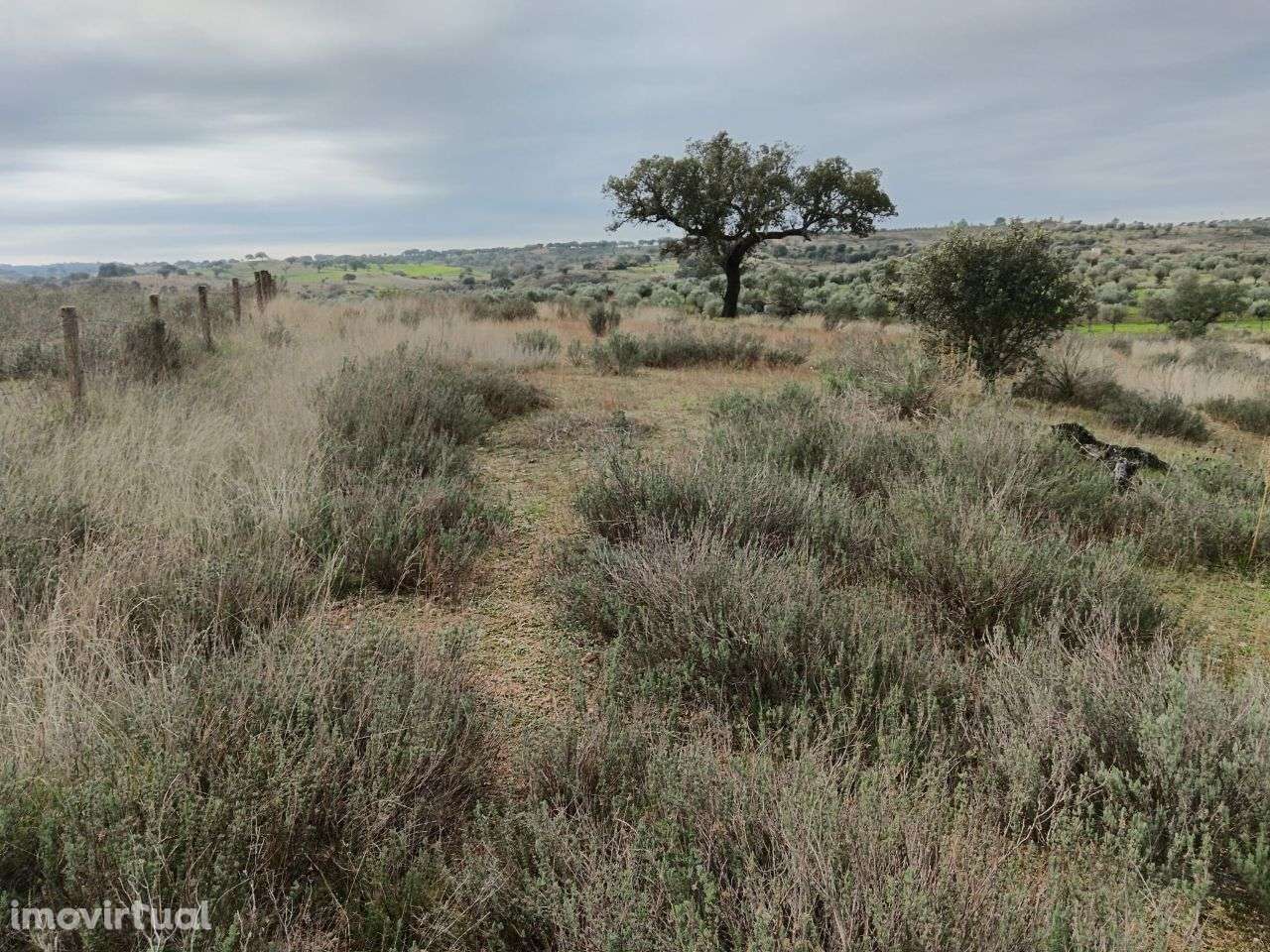 Terreno Rústico - Grande imagem: 2/7