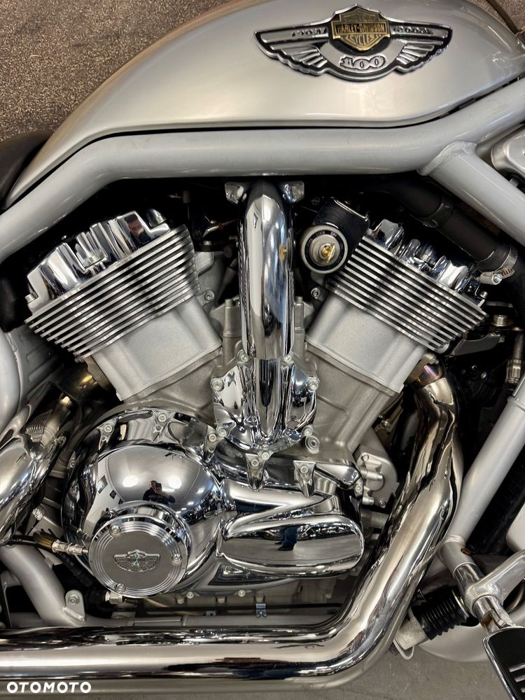 Harley-Davidson V-Rod Street Rod - 9