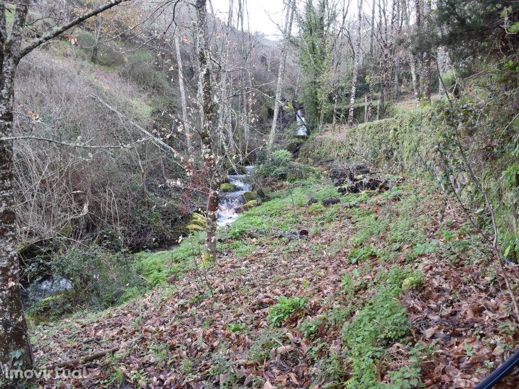 Quinta no Parque Natural da Serra da Estrela - Grande imagem: 3/12
