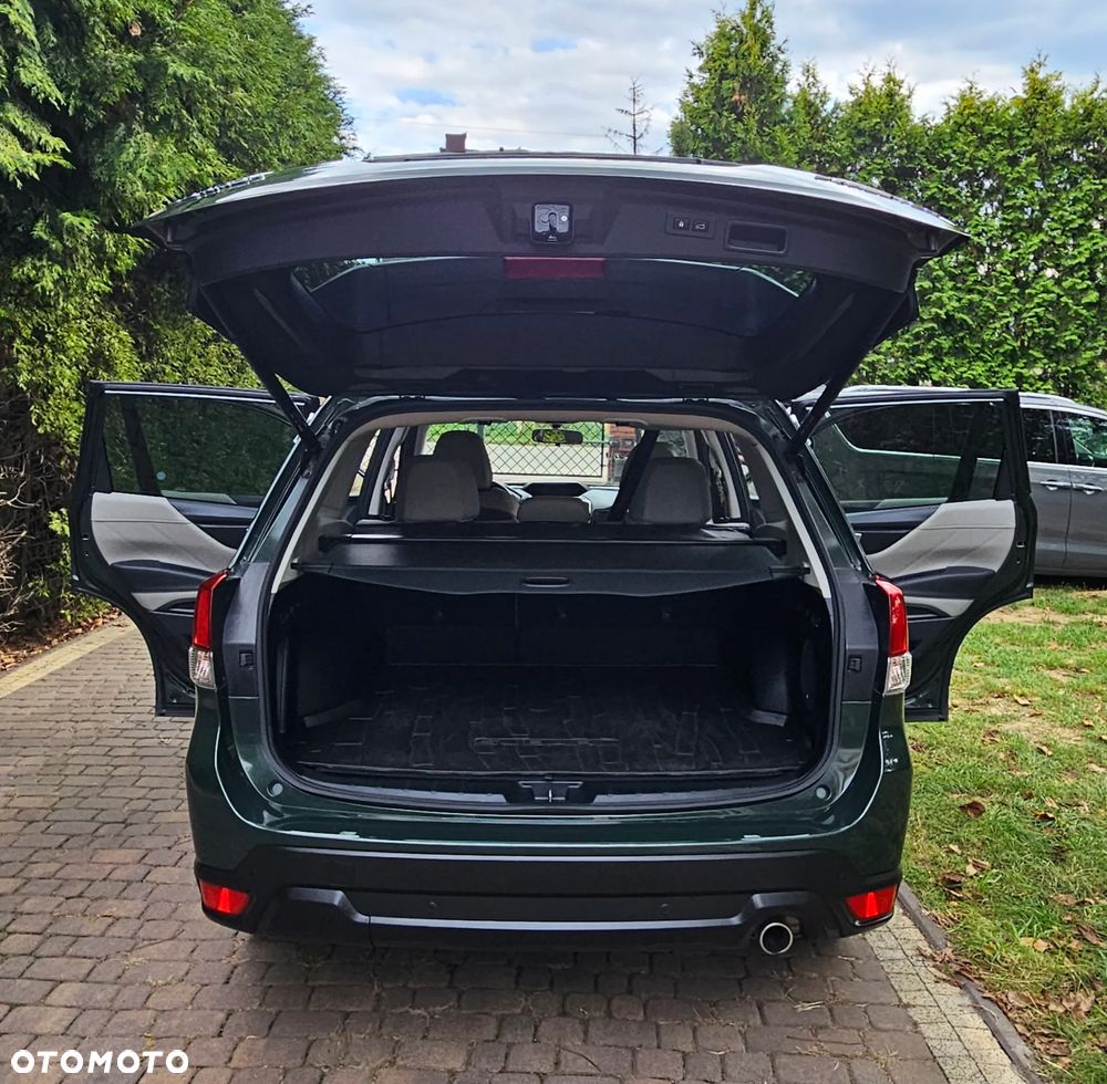 Subaru Forester - 19