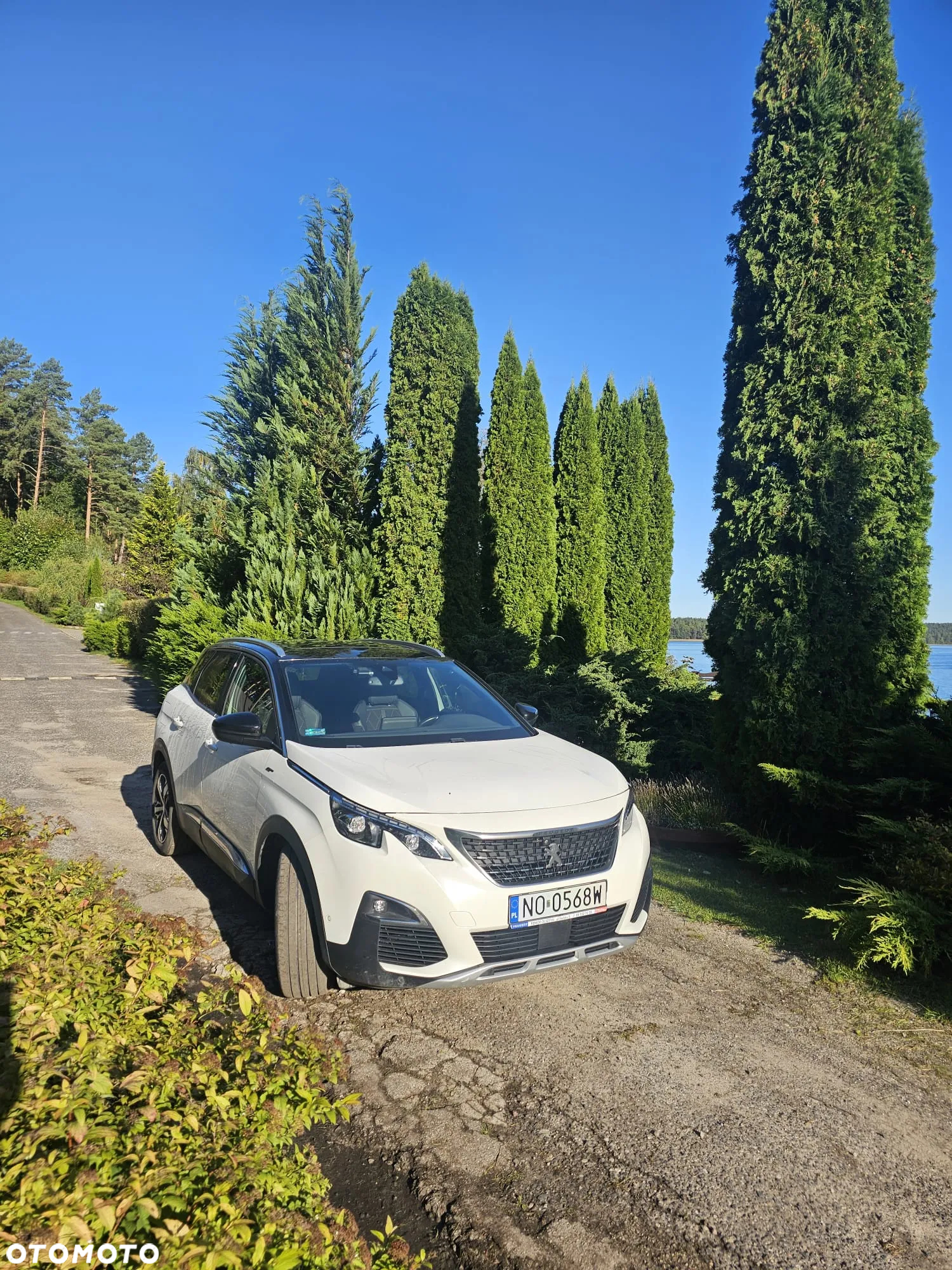 Peugeot 3008 2.0 BlueHDi GT S&S EAT8 - 10